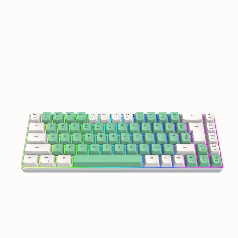 K701 Key Line Separation 68 Keys Wired 60 Percent Mini Keyboard Dual Color RGB Luminous Computer Gaming Keyboard